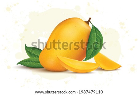 Fresh Yellow mango with mango leaves and slices vector illustration