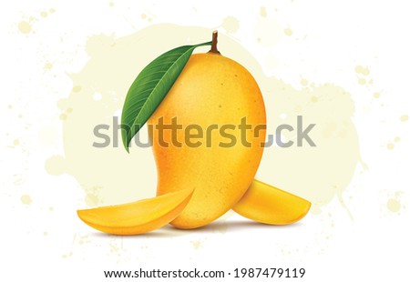 Fresh Mango tropical fruit with green leaf and slices vector illustration