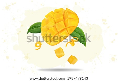 Fresh chopped mango in cubes  with green leaves vector illustration