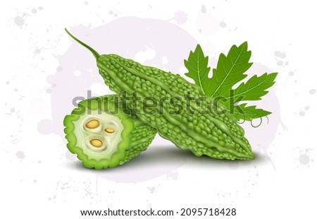 Vector illustration of a Bittergourd with half piece of bittergourd vegetable Foto stock © 