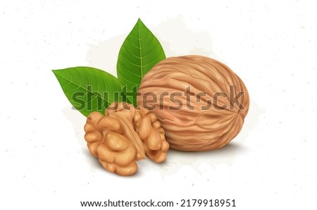 Image, Stock Photo dry fruit husk of the Physalis peruviana, Cape gooseberry, Andean berry on light background