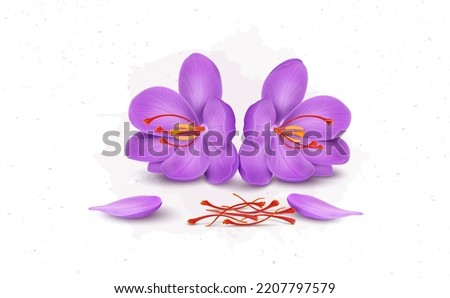 Saffron flower vector illustration with saffron-dried leaves and flower petals