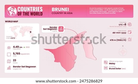 Brunei Map Detailed Insights on Geography, Population and Key Facts-Vector Design