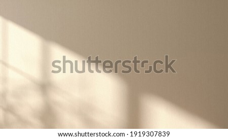 Tropical leaves natural shadow overlay on beige wallpaper inside the room, for overlay on product presentation, backdrop and mockup, simply natural concept, sunlight, blurred background.