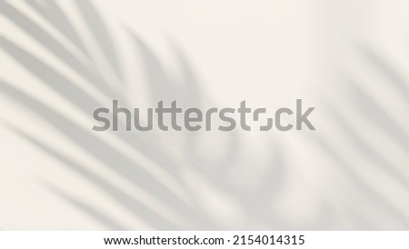 3D render nature concept, beautiful foliage tropical palm leaves shadow on empty white wall. Background, Backdrop, Natural, Summer, Beach, Sunlight, Eco, Tropicana, Space, Outdoor, Breeze, Pattern. Photo stock © 