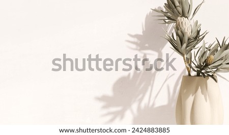 Similar – Image, Stock Photo Cream vase with a succulent plant on a pink background