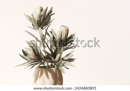 Similar – Image, Stock Photo Cream vase with a succulent plant on a pink background