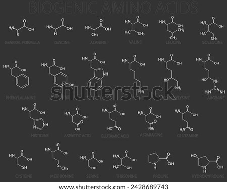 Biogenic amino acids molecular skeletal chemical formula