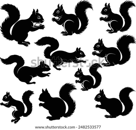 Squirrel silhouettes collection isolated white background, Squirrel animal silhouettes, squirrel silhouettes set illustration