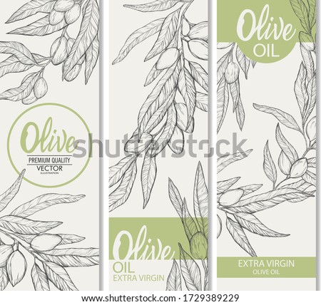 Olive oil label set.Hand drawn olive branches isolated on white background.Engraving illustration olive-tree.Design element for packing olive oil, cosmetics.Natural plant product.
