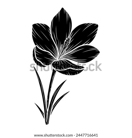 Vector crocus flower silhouette illustration, saffron floral silhouette drawing. Wildflower sketch. Hand drawn botanical outline art. Isolated design element for background, pattern, logo.