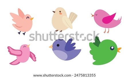 A set of bird vector  collection