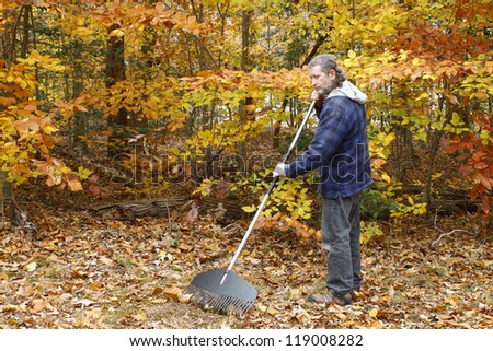 A mature long gray haired man with a beard raking leaves outside on a fall day in the yard