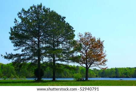 A picnic table under the shade trees along the bank of a peaceful reservoir on a sunny spring day with room for your text.