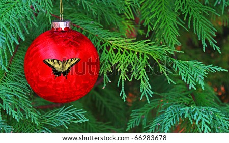 A Seasonal holiday Christmas Ball with a Butterfly design on it hanging in a live Christmas tree with room for your text.