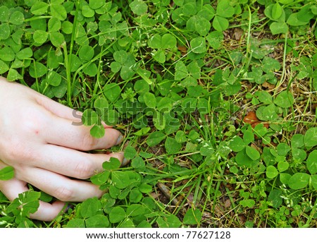 A young girls hand picking a four leaf clover she found out of a cluster of clover with room for your text.
