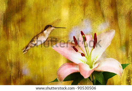 A female ruby throated hummingbird flying through the air on a spring day outside with room for your text