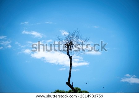 Similar – Image, Stock Photo All Things must pass Metal