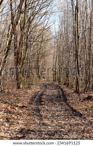 Similar – Image, Stock Photo Crime Scene | Tracks in the Snow