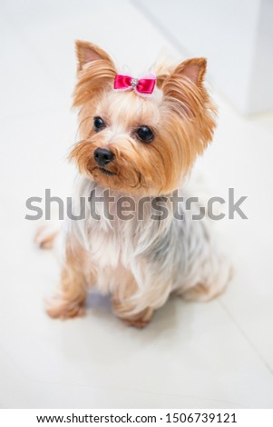 Shutterstock Puzzlepix