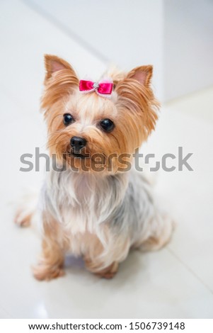 Shutterstock Puzzlepix