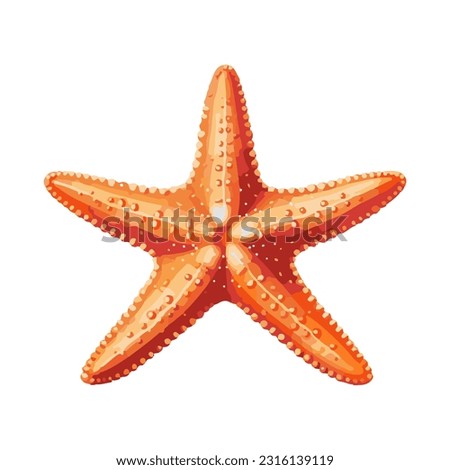 starfish colored 3d detailed illustration