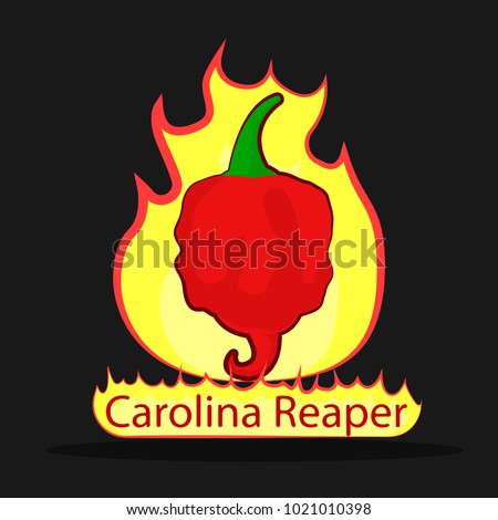 hot pepper(carolina reapper)  in a flat style against the backdrop of fire