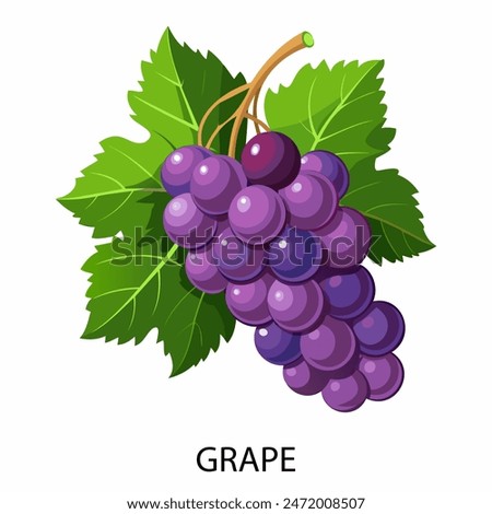 Similar – Image, Stock Photo Bunch of fresh grapes in bowl