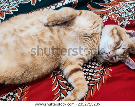 Similar – Image, Stock Photo Sleep very well in your bedstead