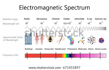 Electromagnetic spectrum and wavelengths diagram. Vector illustration flat design