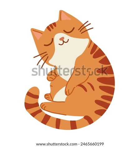 cats in different poses, cute, ptshystyk, rows, vector illustration	