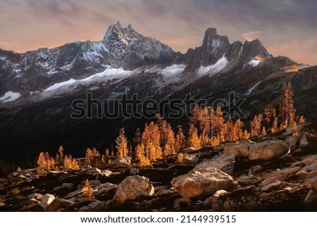 Similar – Foto Bild Schon wieder eine Lärche, auch dieses mal ohne Lerche, die sich stolz dem Winter und dem rauhen Wetter widersetzt