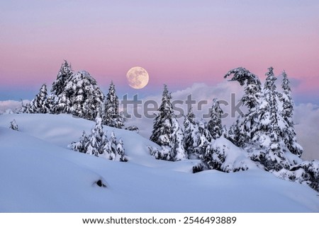 Similar – Image, Stock Photo Full moon over the rooftops