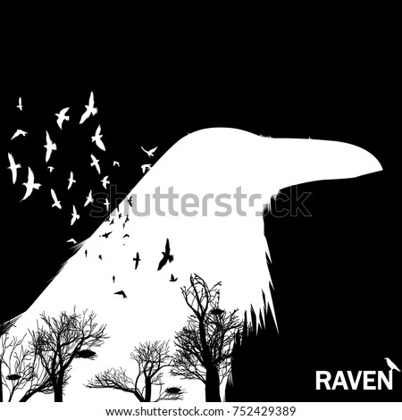 Vector illustration of the white raven head silhouette with the fluttering wings on a black background Double exposure effect. 