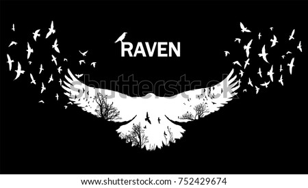 Vector illustration of the white raven silhouette with the fluttering wings on a black background Double exposure effect. 