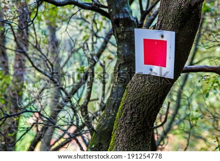 Red sign for dangerous path ahead for walkers deep in forest in Greece