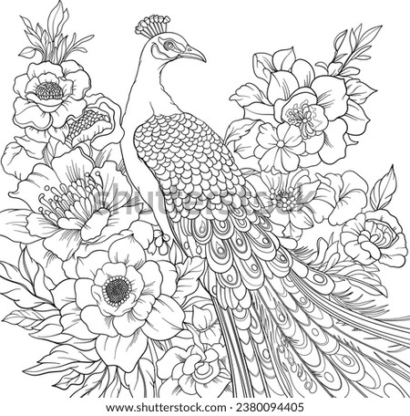 Peacock with flowers, colouring book page design, vector outline.