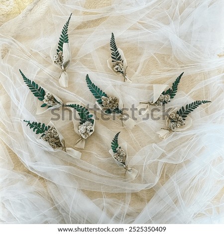 Similar – Image, Stock Photo Green and dry fern leave in the forest, autumn background.