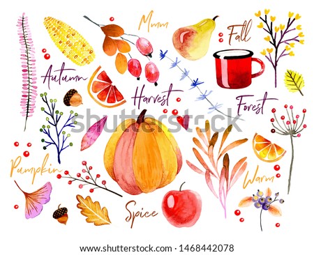 Watercolor autumn banner. Vector hand drawn plants, vegetables, and symbols of fall. Pumpkin, maple leaf, guelder rose, blueberry, apple, pear, corn, acorns, abstract branches. Forest seasonal image.