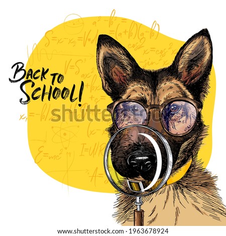 Vector portrait of german shepherd dog with magnifying glass and big nose reflection. Back to school illustration. Math formulas on background. Hand drawn pet portait. Study poster, student cartoon