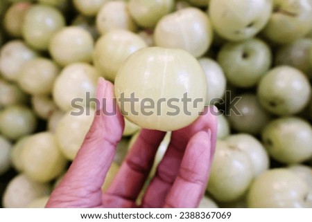Holding up a large Indian gooseberry from the tray collected together in the back. It is an herb with high vitamin C content.

 Stok fotoğraf © 