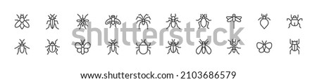 Set of simple insect line icons. Outline stroke object. Linear signs pack. Perfect for web apps and mobile. Stock foto © 