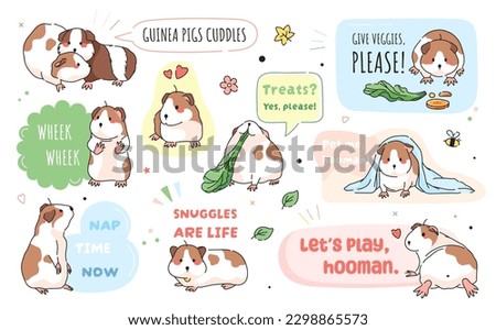 Adorable stickers with cute guinea pigs set. Cute rodent animal guinea pig labels and funny stamps. Modern guinea pig stickers collection with funny phrases and text.