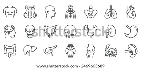 Man Body Organs and Parts Icon Set. Thin Line Illustrations of Male Body Organs and Anatomical Structures. Editable Vector Signs Collection.