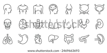 Human Body Parts Icons Set. Illustrations of Head, Torso, Brain, Skull, Spine, Kidneys, Lungs, Heart, Stomach, Liver, Intestines, Pancreas, and Bladder. Linear Vector Pack.