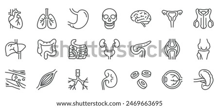 Internals Viscera Icons Set. Thin Line Illustrations of Human Internal Organs and Viscera. Editable Vector Signs Collection.