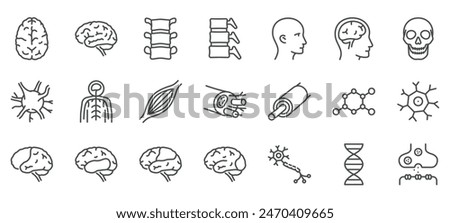 Human Nervous System Icons Set. Illustrations of Brain, Spinal Cord, Neurons, Muscle Fibers, Skull, DNA, and Synapses. Linear Vector Pack.