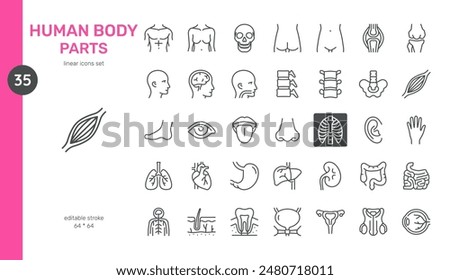 Human Body Parts Vector Icons Set. Anatomy Illustrations of Organs, Bones, Muscles, and Body Systems. Editable Linear Collection.