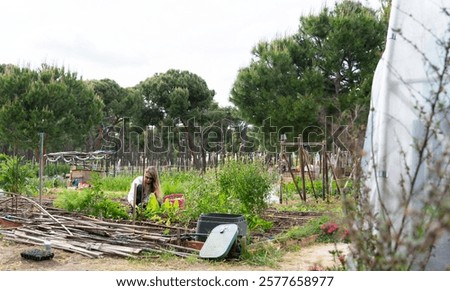 Similar – Image, Stock Photo Urban Gardening harvest fresh bio onions