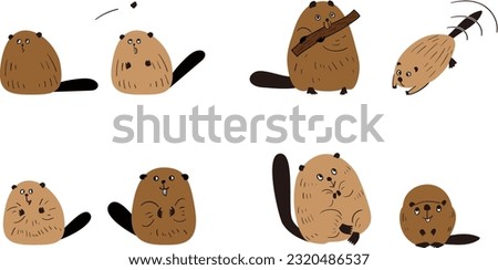 Beavers.Fat beaver.Swim beaver.communication beaver.Cute beaver.